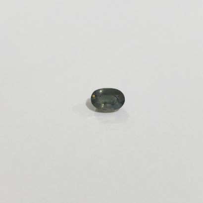 SAPHIR green , ovale , Australie , 1,24 carats...