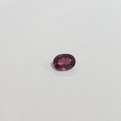 GRENAT purplish pink rhodolite VS , ovale...