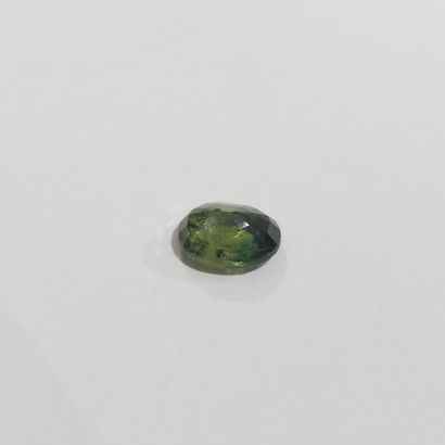 SAPHIR green , ovale , Australie , 3,40 Carats,...