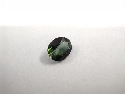 TOURMALINE verte VVS	 ovale, Mozambique	,...