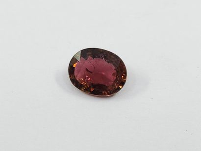TOURMALINE pinkish purple , ovale , Mozambique...