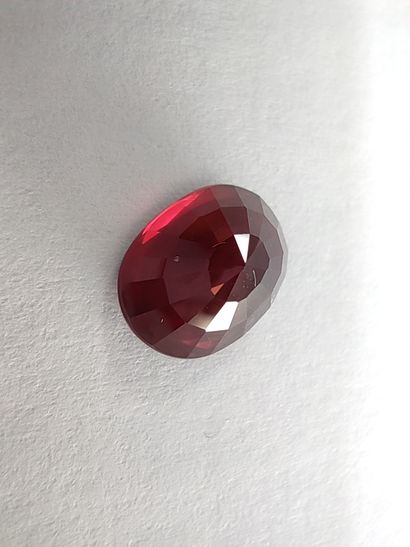 GRENAT pinkish purple rhodolite, ovale, 	Madagascar	,...