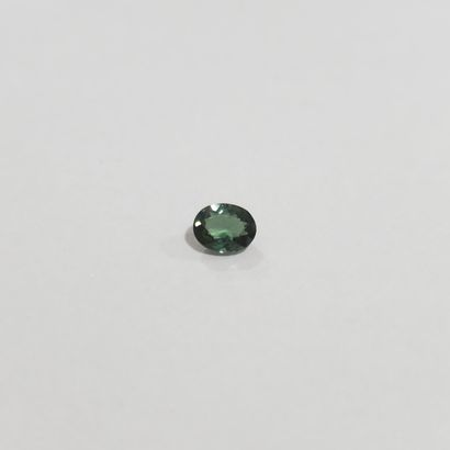 TOURMALINE green VS , ovale , Africa , 0,48...