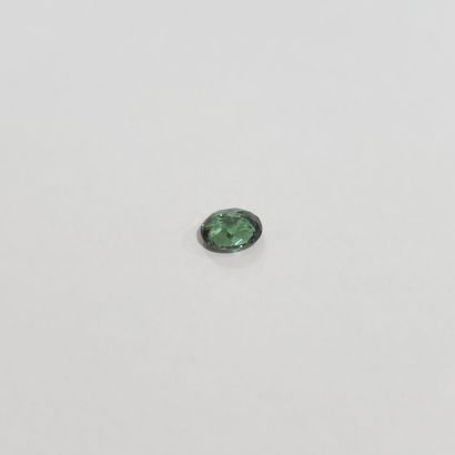 TOURMALINE green VS , ovale , Africa , 0,48...