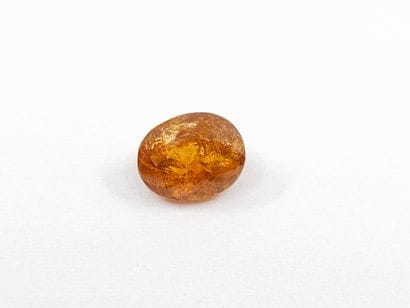 GRENAT orange spessartite , ovale , Namibie...