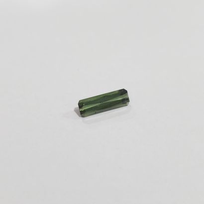 TOURMALINE green , émeraude , Mozambique...