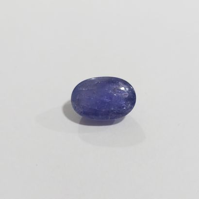 TANZANITE violet blue, cabochon, Tanzanie	...