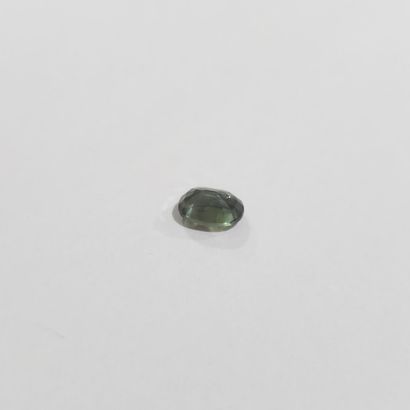 SAPHIR green , ovale , Australie , 1,24 carats...