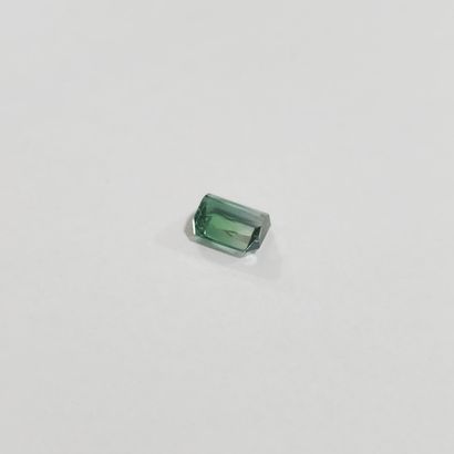 TOURMALINE green , émeraude , Mozambique...