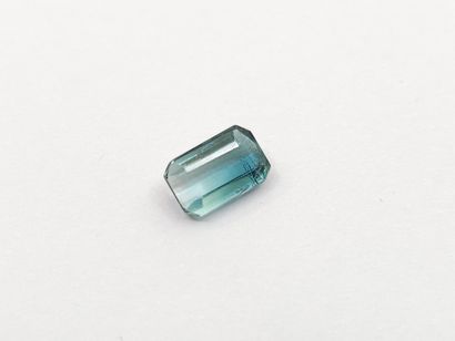 TOURMALINE bi-color green et greenish blue...