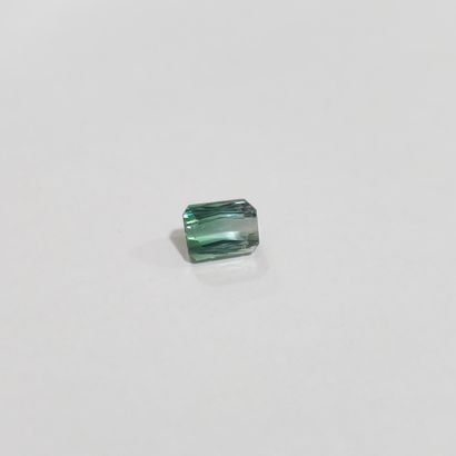 TOURMALINE green , émeraude , Mozambique...