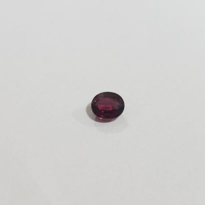 GRENAT purplish pink rhodolite VVS , ovale...