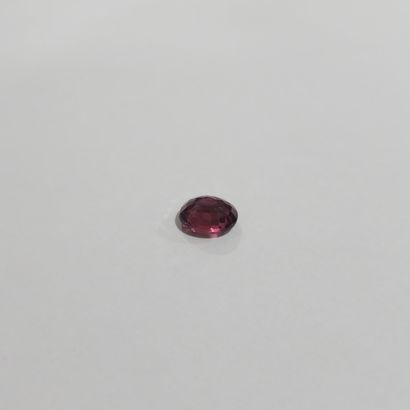 GRENAT purplish pink rhodolite VVS , ovale...