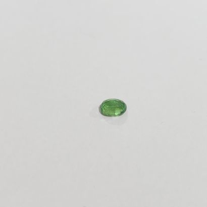 GRENAT shamrock green , ovale , Tanzanie...