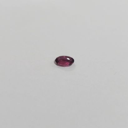 GRENAT pinkish purple rhodolite VS , ovale...