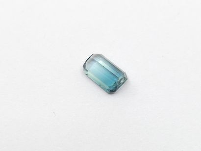 TOURMALINE bi-color green et greenish blue...