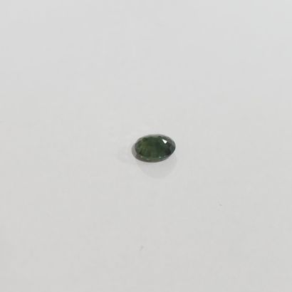 SAPHIR green , ovale , Australie , 0,82 Carats,...