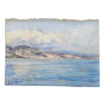 BARTHELEMY MEYNIER DE SALINELLES (XIX-XX)
Paysage...