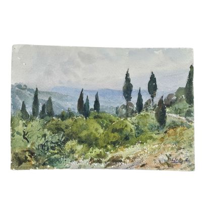 BARTHELEMY MEYNIER DE SALINELLES (XIX-XX)
Pont...