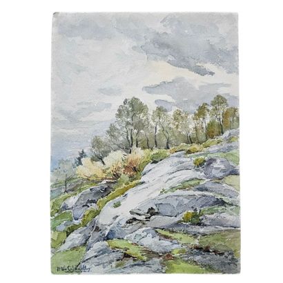 BARTHELEMY MEYNIER DE SALINELLES (XIX-XX)
Paysage...