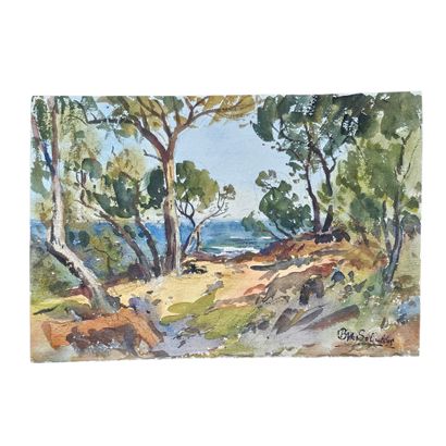 BARTHELEMY MEYNIER DE SALINELLES (XIX-XX)
Paysage...