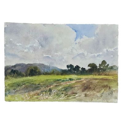 BARTHELEMY MEYNIER DE SALINELLES (XIX-XX)
Paysage...