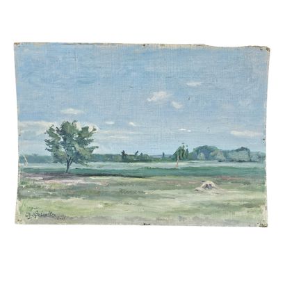 BARTHELEMY MEYNIER DE SALINELLES (XIX-XX)
Bi...
