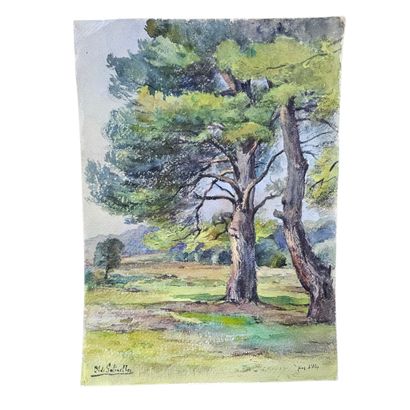 BARTHELEMY MEYNIER DE SALINELLES (XIX-XX)
Chemin...