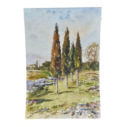 BARTHELEMY MEYNIER DE SALINELLES (XIX-XX)
Paysage...