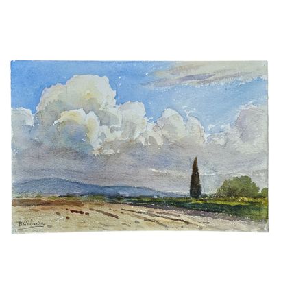 BARTHELEMY MEYNIER DE SALINELLES (XIX-XX)
Paysage...