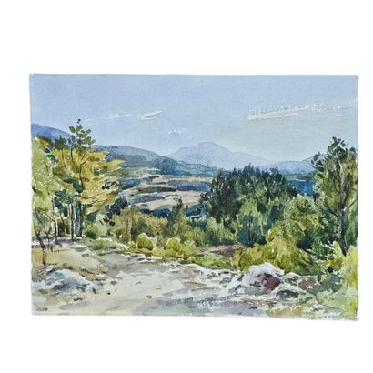 BARTHELEMY MEYNIER DE SALINELLES (XIX-XX)
Vue...