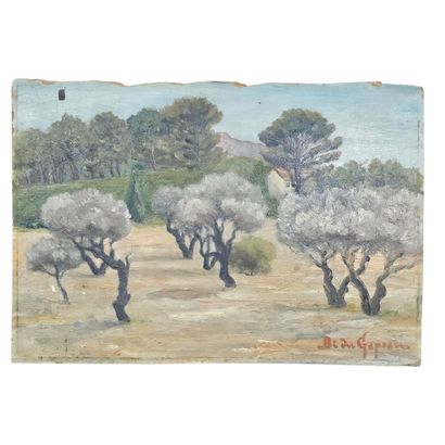 BARTHELEMY MEYNIER DE SALINELLES (XIX-XX)
Bi...