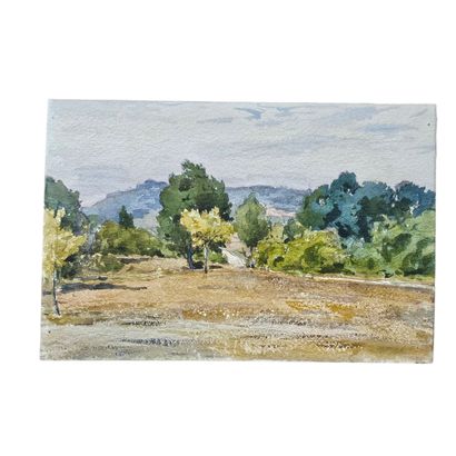 BARTHELEMY MEYNIER DE SALINELLES (XIX-XX)
Paysage...