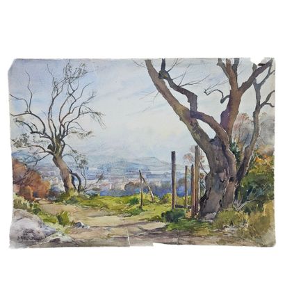 BARTHELEMY MEYNIER DE SALINELLES (XIX-XX)
La...