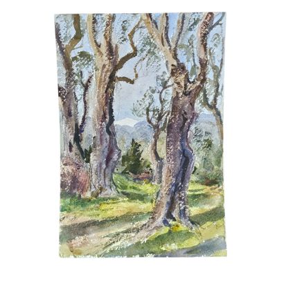 BARTHELEMY MEYNIER DE SALINELLES (XIX-XX)
Paysage...