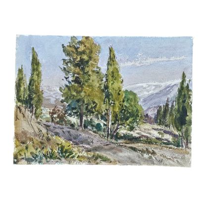 BARTHELEMY MEYNIER DE SALINELLES (XIX-XX)
Paysage...