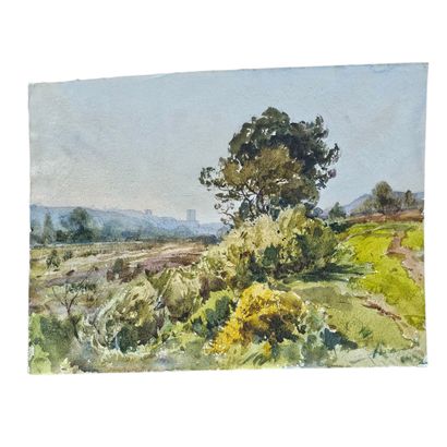 BARTHELEMY MEYNIER DE SALINELLES (XIX-XX)
Vue...