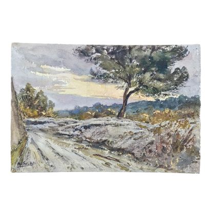 BARTHELEMY MEYNIER DE SALINELLES (XIX-XX)
Pont...