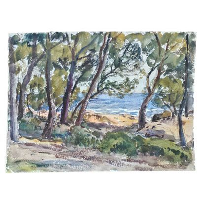 BARTHELEMY MEYNIER DE SALINELLES (XIX-XX)
Chemin...