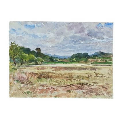 BARTHELEMY MEYNIER DE SALINELLES (XIX-XX)
Paysage...