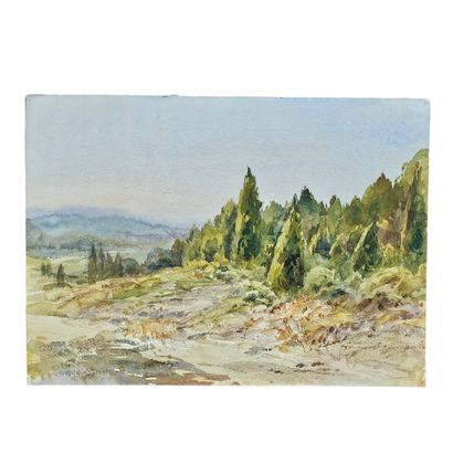 BARTHELEMY MEYNIER DE SALINELLES (XIX-XX)
Chalets...