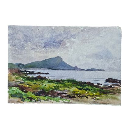 BARTHELEMY MEYNIER DE SALINELLES (XIX-XX)
Bord...