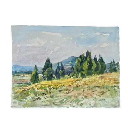 BARTHELEMY MEYNIER DE SALINELLES (XIX-XX)
Paysages...