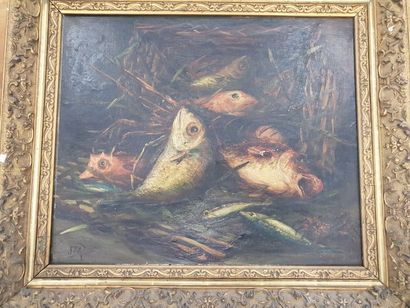 J.MELA
Nature morte aux poissons dim : 45...