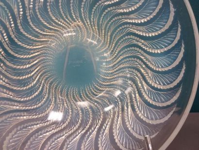 LALIQUE
Modèle Poisson crée en 1931, non...