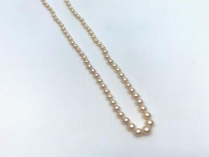 COLLIER 
de perles de culture en chute fermoir...