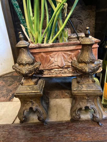 Pair of gilt bronze andirons. 

Louis XV...
