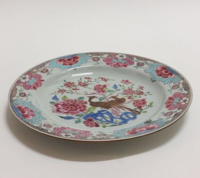 CHINA.

Plate with enamels of the rose family...