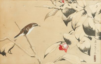 CHINA.

Bird on a snowy branch.

High. 26.4...
