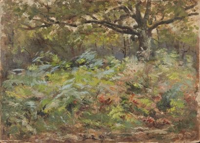 BOURDIN.

Undergrowth.

Oil on panel, signed...
